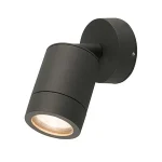 Adjustable Outdoor Wall Light