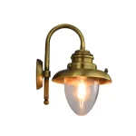 Antique Brass Downlight Outdoor Wall Light