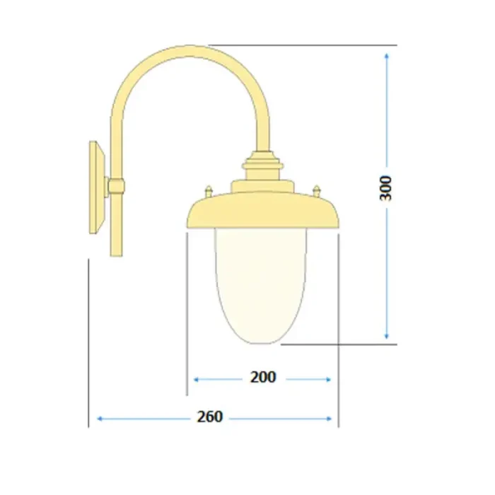 Antique Brass Downlight Outdoor Wall Light