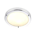 Bathroom Ceiling Light With Frosted Glass