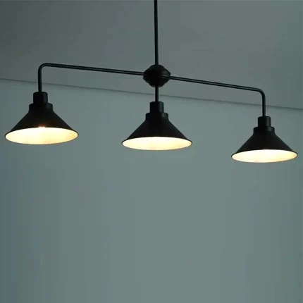 Black Ceiling Light With White Inner