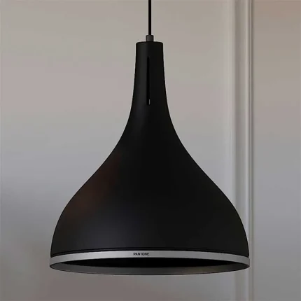 Black Glossy Ring Pendant Light