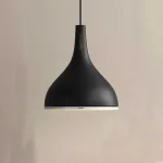 Black Glossy Ring Pendant Light