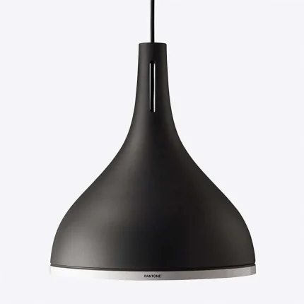 Black Glossy Ring Pendant Light