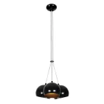 Black Gold Shade Hanging Light