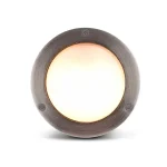 Brass Nickel Plated Outdoor Wall Light