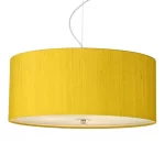 Pendant light with citrus shade