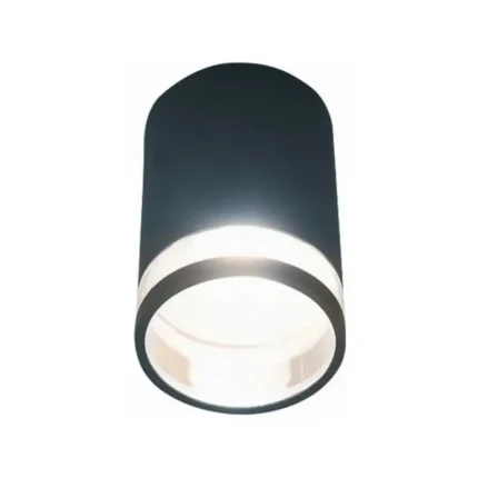 Clear Ring Outdoor Ceiling Light