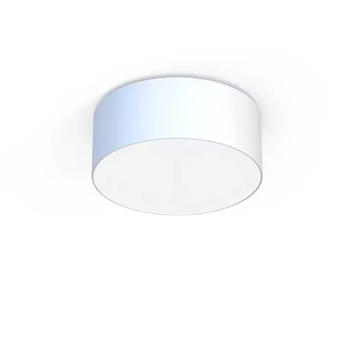 Flush Ceiling Light With White Shade