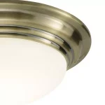 IP44 Brass Trim Bathroom Ceiling Light