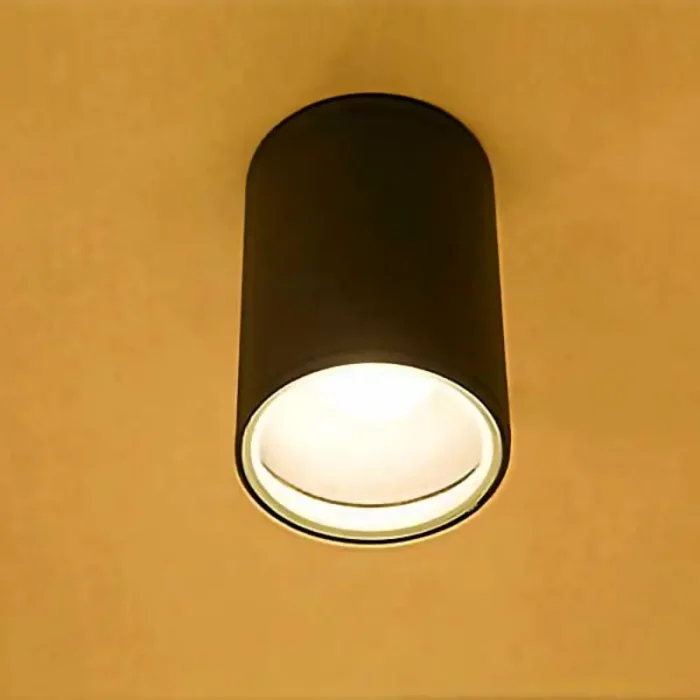 Matt Black Outdoor Ceiling Light