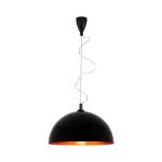 Modern Black Gold Pendant Light