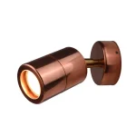 Natural Copper Outdoor Wall Light