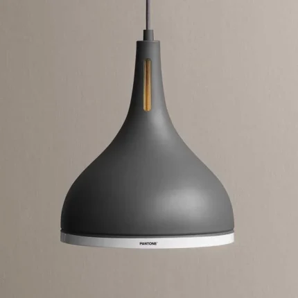 Pewter Glossy Ring Pendant Light