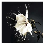 Splash printed photography wall art showcases a stunning white flower with open petals