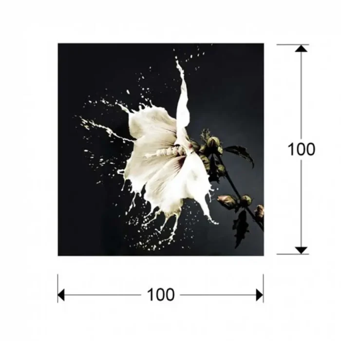 Splash printed photography wall art showcases a stunning white flower with open petals