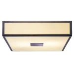 Square Chrome Bathroom Ceiling Light