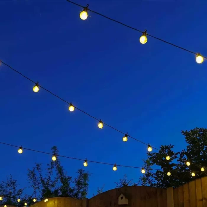 Festoon Lights With 20 Clear LED Bulbs