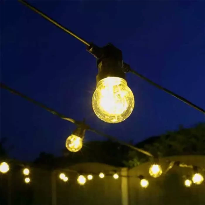 Festoon Lights With 20 Clear LED Bulbs