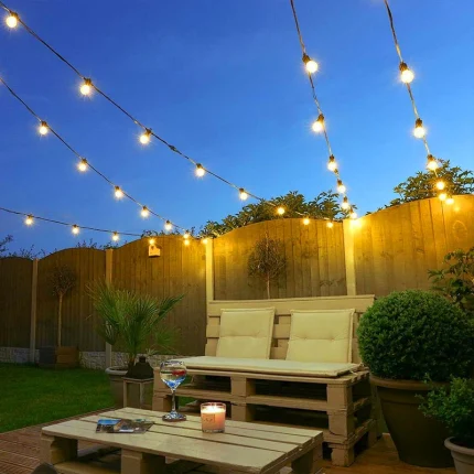 Festoon Lights With 20 Clear LED Bulbs