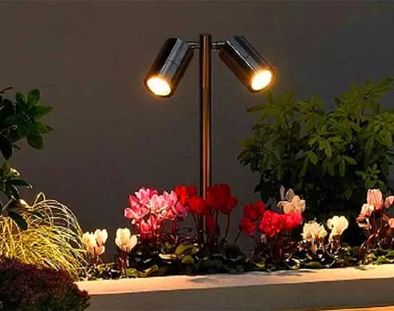 Garden Spike Lights