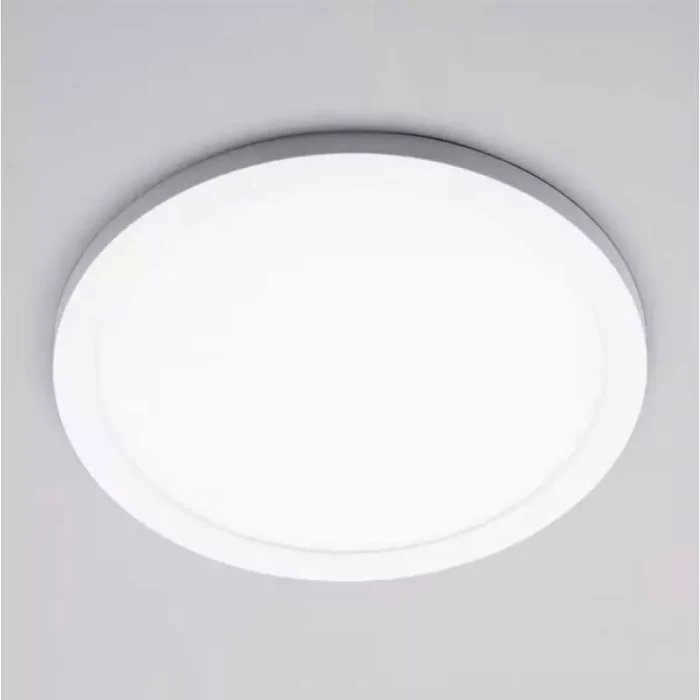 24W CCT LED Wall/Ceiling Light