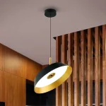 24W LED Black Pendant Light