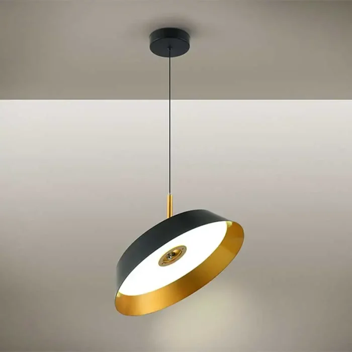 24W LED Black Pendant Light