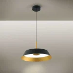 24W LED Black Pendant Light