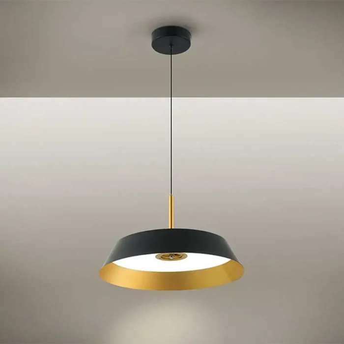 24W LED Black Pendant Light