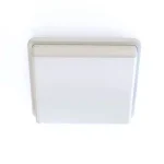 Matt White Bathroom Ceiling Light