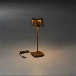 Decorative Rust LED Table Lamp