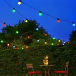 20 LED Multi Colour Festoon Lights