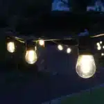 15 LED Connectable Festoon Lights with Replaceable Bulbs