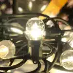 15 LED Connectable Festoon Lights with Replaceable Bulbs